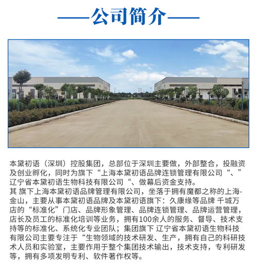 双辽万元创业项目加盟有哪些模式