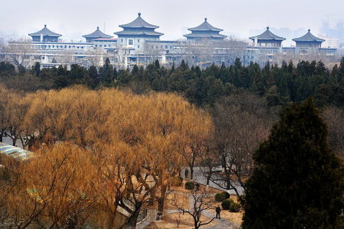 双辽到沈阳有多少公里