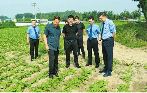双辽 废弃农膜残留田间 合力清理保护 金饭碗