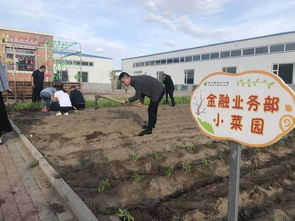 双辽市分公司开展 小院种植 活动
