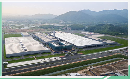 又一颗闪耀的星 小鹏汽车ipo向我们透露了什么