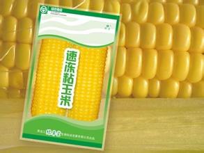 吉林双辽市速冻食品成就致富梦想