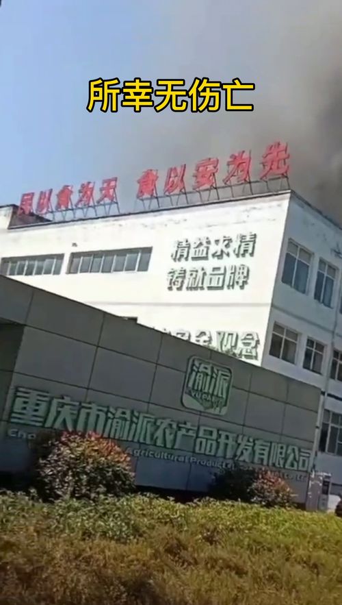 9月21日重庆一食品厂突发火灾，应急处置及时控制火情