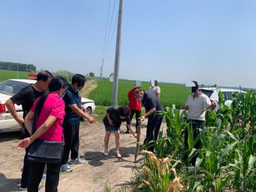 双辽亲兄妹因耕地纠纷闹上法庭，亲情在利益面前面临考验